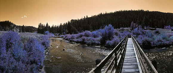 Cross Bridge