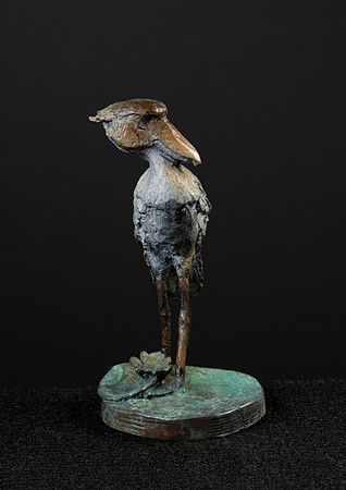 Shoie, the Shoebill Stork
